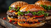 established burger joint the - 1