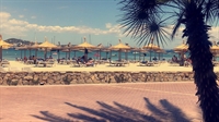 established front-line resturant palma - 1