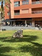 restaurant operating málaga business - 1