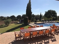 incredible profitable finca business - 2