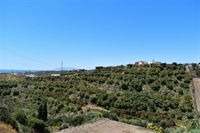 super location organic farming - 2