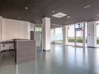 fabulous freehold opportunity - 3
