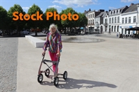 thriving mobility rental business - 3