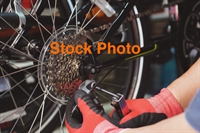 successful bicycle business booming - 3