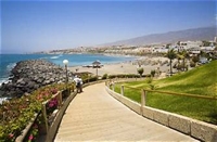 established bar las americas - 2