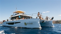 amazing well established catamaran - 1