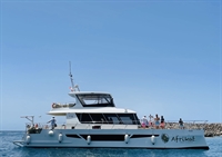 amazing well established catamaran - 2