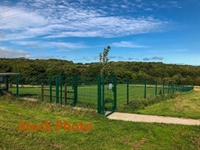 licensed dog kennels cattery - 3