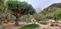 beautiful large botanical gardens - 3