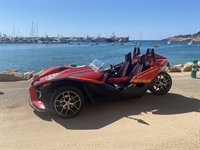 established provider for trike - 1