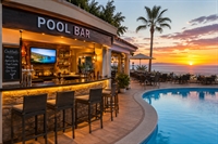 pool bar business torviscas - 1
