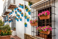 prime hotel opportunity marbella - 1