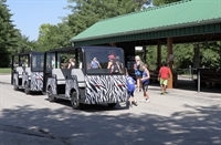 sustainable tourist train opportunity - 2