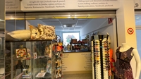 alterations seamstress shop busy - 1