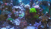 established aquarium business malaga - 1