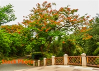 beautiful large botanical gardens - 2