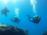 established dive centre on - 1