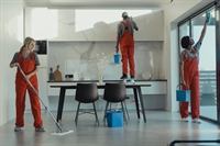 established property services business - 1