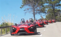 established provider for trike - 3