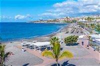 established bar las americas - 3