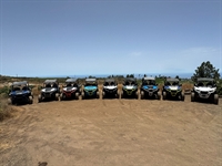 established buggy tour business - 2