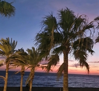 prime seafront restaurant opportunity - 2