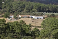 holiday farm holiday houses - 1