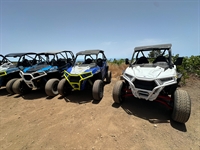 established buggy tour business - 1