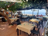 established restaurant - 1