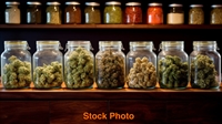 successful cbd retail business - 3