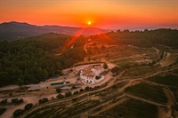 luxury venue vineyard spain - 1