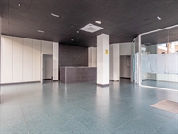 fabulous freehold opportunity - 2
