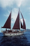 well-established yacht charter business - 2