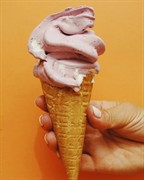 mobile ice cream business - 3