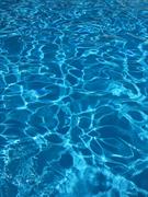 established swimming pool maintenance - 3