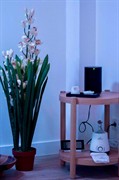 premium licensed wellness massage - 3