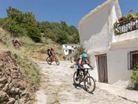 cycling mountain biking tour - 2