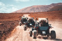 remarkable quad buggy activity - 2