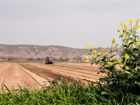 agricultural property the province - 1