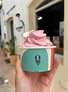 mobile ice cream business - 2