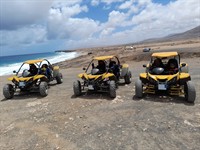 remarkable quad buggy activity - 1