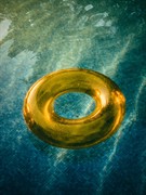established swimming pool maintenance - 2