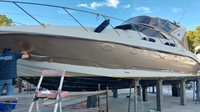 highly profitable marine vechicle - 2