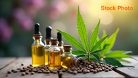 successful cbd retail business - 2