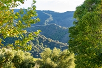 sustainable eco mountain retreat - 3