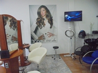 hair beauty salon 1389 - 2