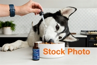 reputable pet shop with - 3
