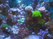 established aquarium business malaga