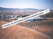 specialized craftsman carpentry alicante
