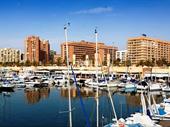 just available frontline marina
